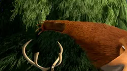 Les rebelles de la forêt