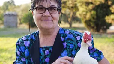 Sant'Angelo in Colle