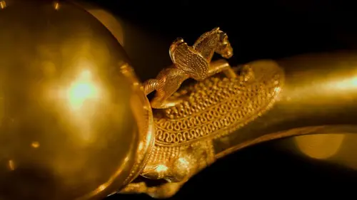 Les reines oubliées de l'âge du fer