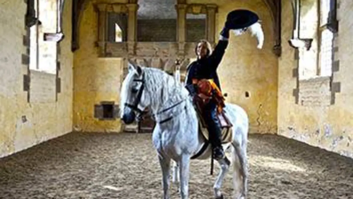 Les rênes du pouvoir