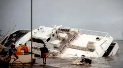 Visuel de Les rescapés