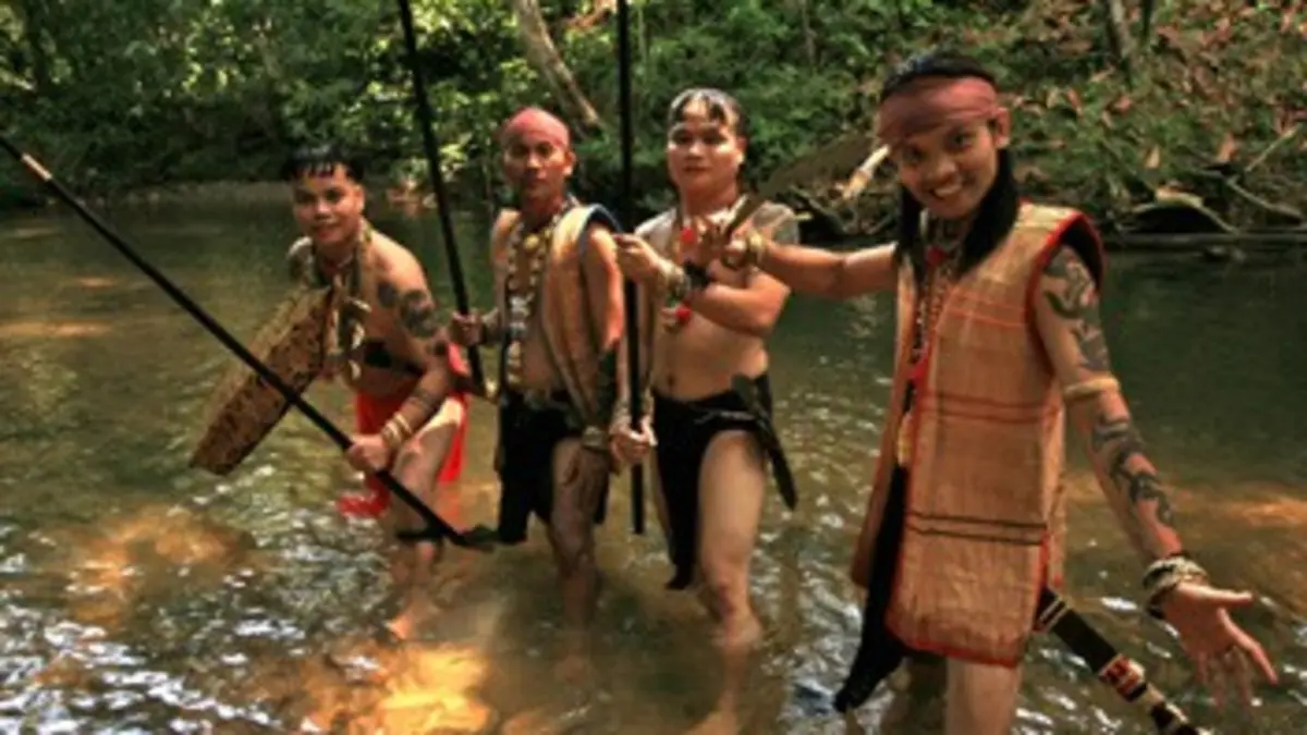 Les rescapés de Bornéo