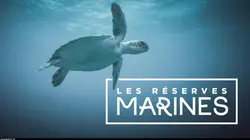 Les réserves marines S01E05 Les îles Exumas
