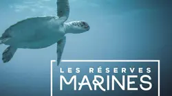 Les réserves marines S01E05 Les îles Exumas