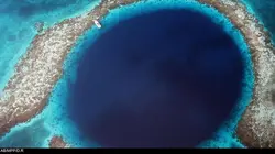 Les réserves marines S01E04 Le récif mésoaméricain