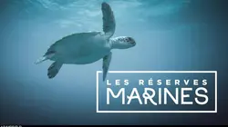Les réserves marines S01E05 Les îles Exumas