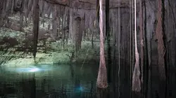 Les révélations des secrets Mayas