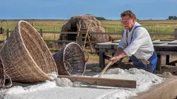Les rivages de la mer du Nord à vélo