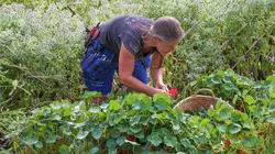 Les rivages de la mer du Nord à vélo