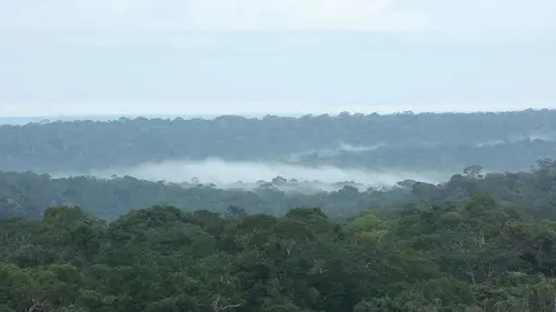 Les rivières volantes