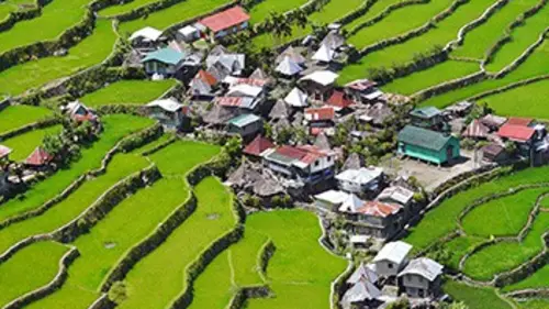 Les rizières célestes des Philippines