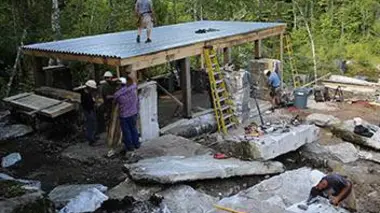 La cabane enracinée