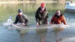 Les rois de la pêche Battle for America