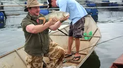 Les rois de la pêche