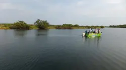 Les rois de la pêche