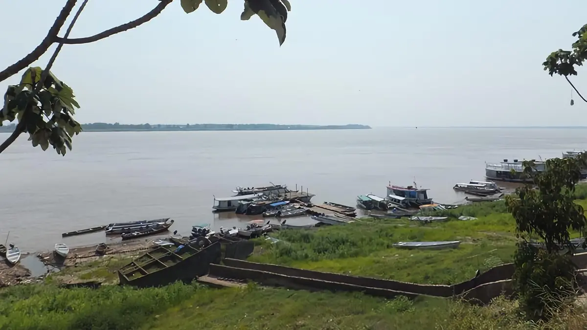 Les rois de la pêche