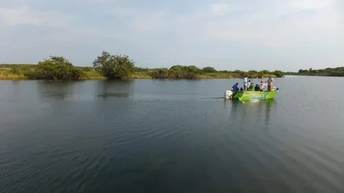 Les rois de la pêche