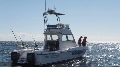 Les rois de la pêche