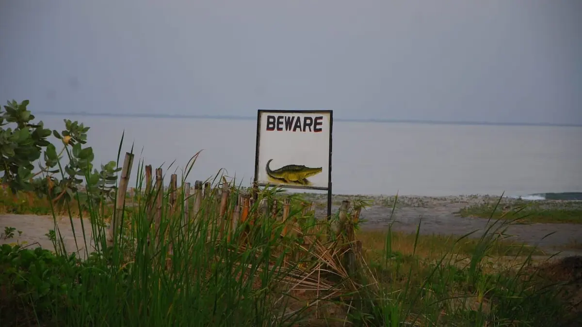Les rois de la pêche