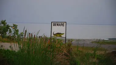 Les rois de la pêche