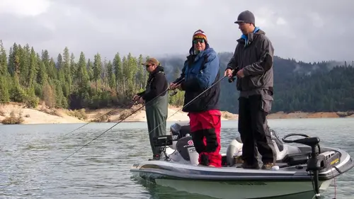 Les rois de la pêche