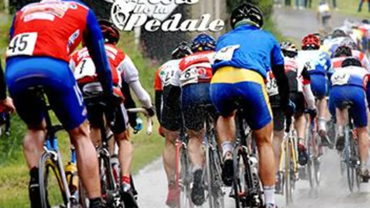 Les rois de la pédale Spéciale France 2017