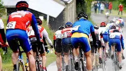 Les rois de la pédale