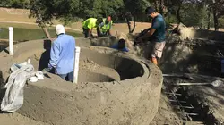 Les rois de la piscine