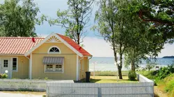 Les rois de la réno Vandales