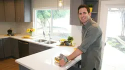 Les rois de la réno Pas un chat