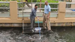 Les rois des aquariums Aquarium exotique