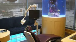 Les rois des aquariums