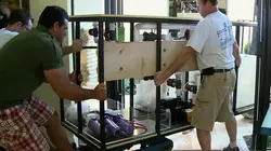 Les rois des aquariums