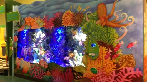 Les rois des aquariums Un palace pour poissons