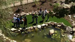 Les rois des aquariums