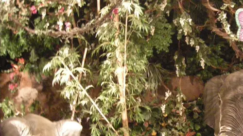 Les rois des aquariums Un gros client