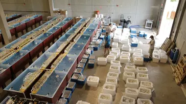 Un défi de taille