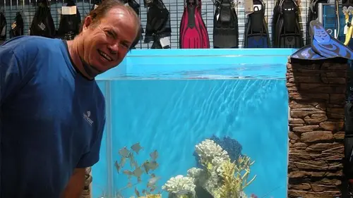 Les rois des aquariums