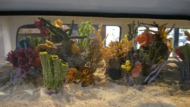 Les rois des aquariums Aquarium de cristal