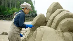 Les rois du château de sable Fossil mania