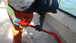 Visuel de Les rois du saumon