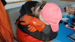 Les rois du saumon Partez !