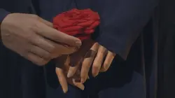 Les roses de ma mère