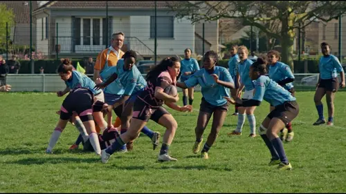 Les roses et les bleues