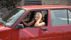 Les rosiers grimpants