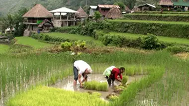 Philippines : Halsema Highway (1/2)