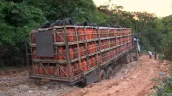 Les routes de l'impossible S07E04 Gabon: la forêt maudite