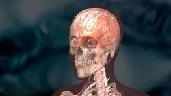 Les routes de l'impossible  Népal, les voies de la sagesse