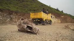 Les routes de l'impossible Timor oriental, l'île mystérieuse