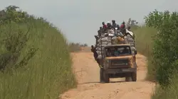 Les routes de l'impossible  Congo, frissons sur le fleuve